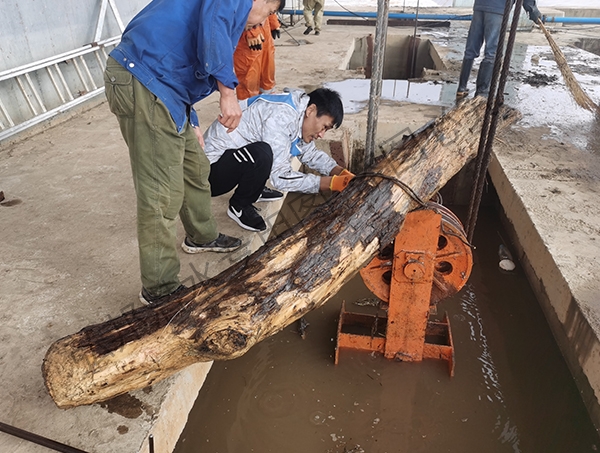 牡丹江市某一發電站閘門進行水下清理工作